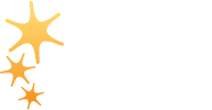 Spark Initiative