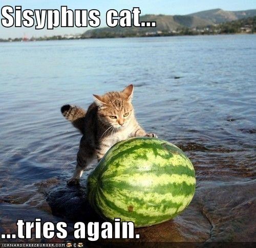 Sysyphus cat tries again